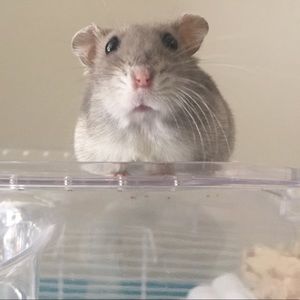 Meet your Posher, Melanie